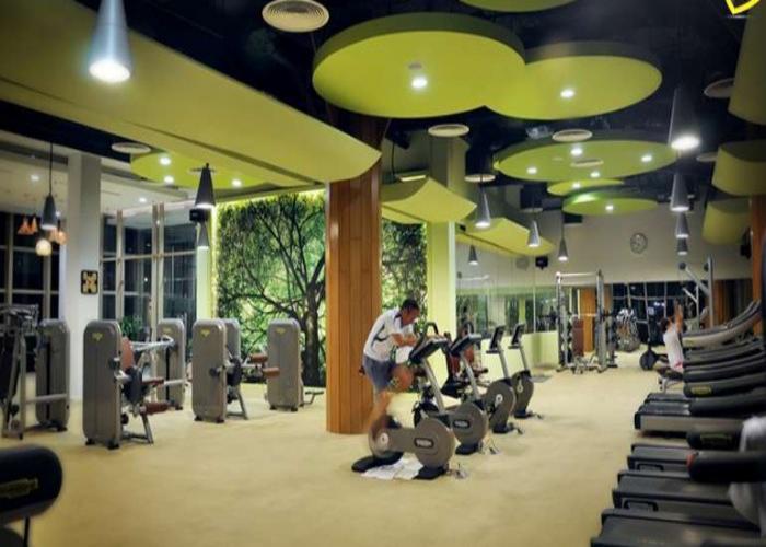 the vista gym1